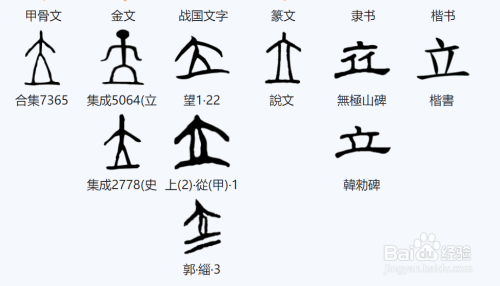 立字演变的过程（立字演变的过程图片）-图1