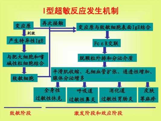 i型超敏反应过程（i型超敏反应的）-图1