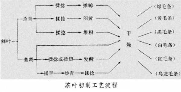 制茶叶的过程雅思（制茶工艺的过程）-图1