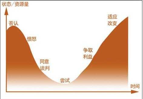 适应过程的例子（适应过程的例子素材）-图3