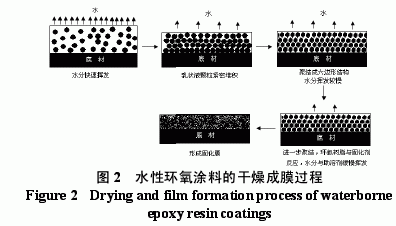 涂膜固化过程（涂膜的固化机理有哪几种类型）-图1