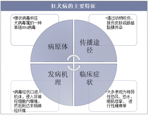 狂犬病的发病过程（狂犬病发病过程不包括哪一阶段）-图2