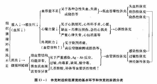 休克病理生理过程（休克的病理生理学病理机制）-图1