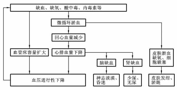 休克病理生理过程（休克的病理生理学病理机制）-图2