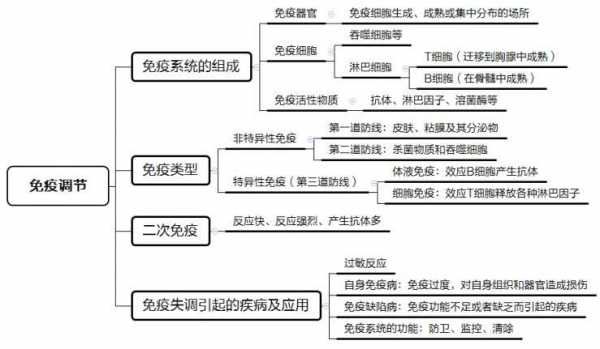 免疫调节过程归纳（免疫调节过程归纳图）-图2