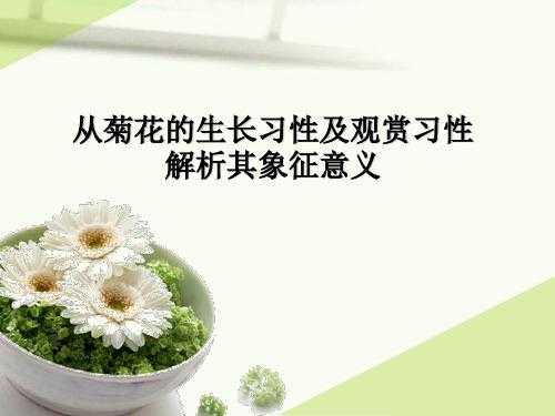 菊花的研究过程（关于菊花的历史和现状的研究报告）-图2