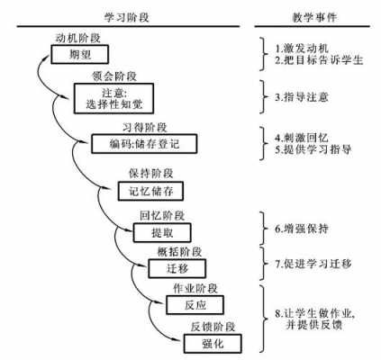 加涅8过程（加涅的8水平）-图2