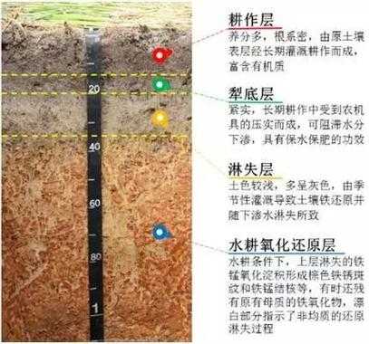 土壤的成土过程（土壤成土过程示意图怎么画）-图3