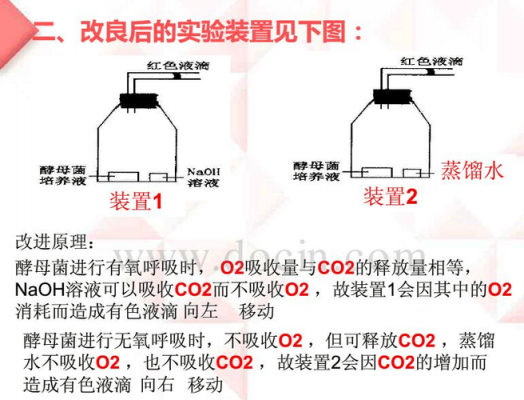 探究细胞呼吸过程（探究细胞呼吸的方式选用的材料是）-图3