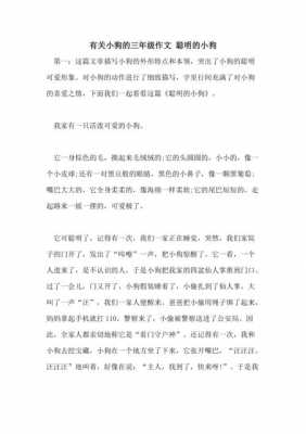 聪明的小狗介绍过程（聪明的小狗作文300字四年级）-图3