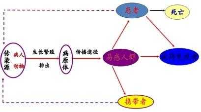 流行过程必须（流行过程的定义）-图1