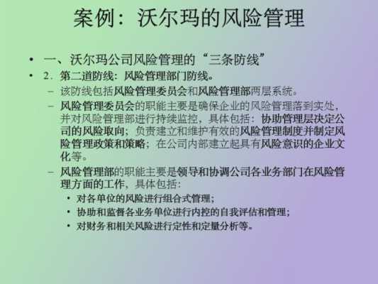 沃尔玛公司风险评估过程（沃尔玛风险评估案例分析报告）-图2