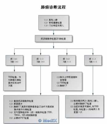 诊断的基本过程（诊断的基本过程不包括）-图1