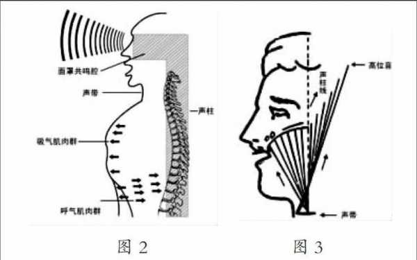 歌唱共鸣的形成过程（歌唱共鸣的形成过程包括）-图1