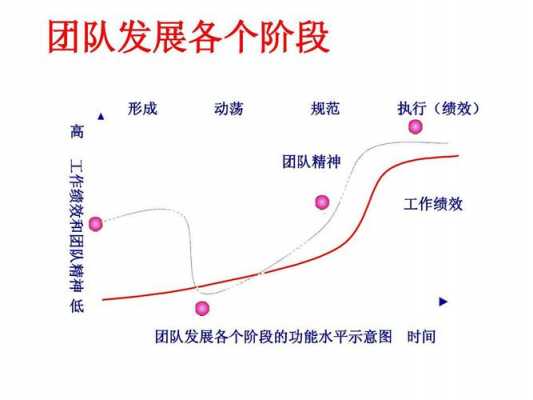 团队形成过程（团队形成过程怎么写）-图1