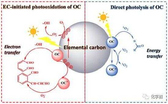 碳反应过程（碳反应过程图解）-图3
