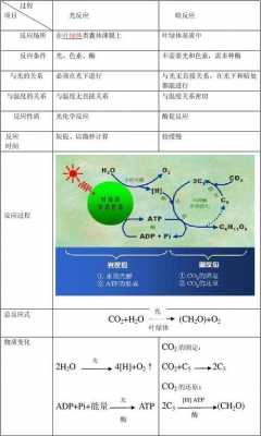 反应过程包括哪些（反应过程包括哪些阶段）-图3