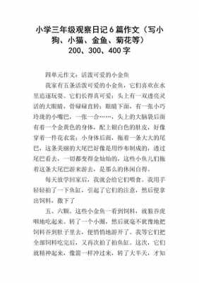 小狗的生长过程日记（小狗的生长过程日记英语）-图2