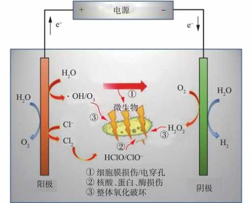 电化学过程（电化学过程的基本步骤）-图3