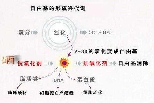 自由基产生的过程（自由基产生有哪三种方法）-图1