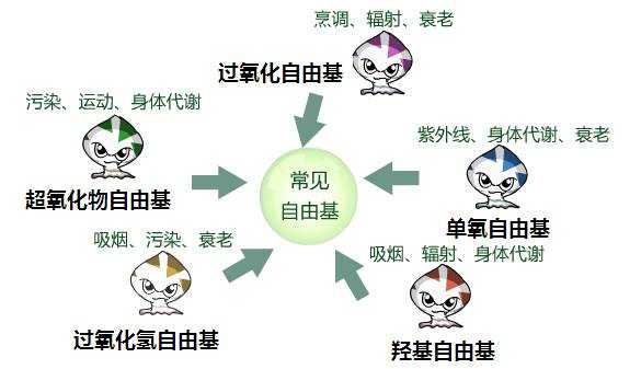 自由基产生的过程（自由基产生有哪三种方法）-图3