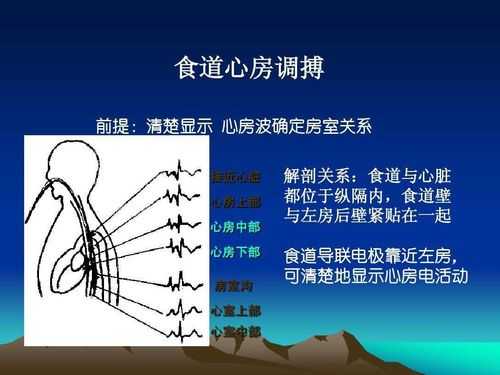 食道调节的过程（食道调搏的原理）-图2