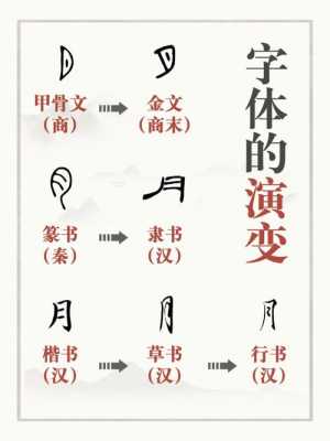 书法字体进化过程（书法字体进化过程图）-图1