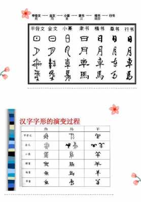 书法字体进化过程（书法字体进化过程图）-图3