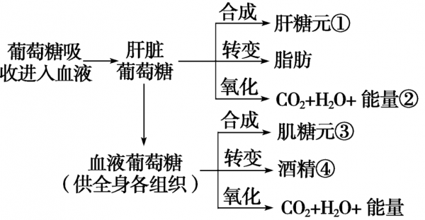 简述尿糖的形成过程（尿糖的形成机制）-图1