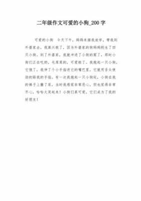 救小狗的过程作文（救小狗的过程作文400字）-图3