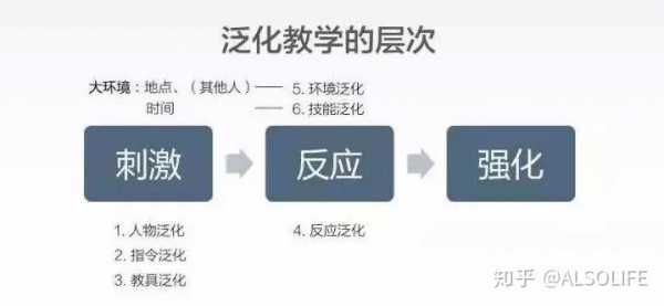 教育泛化过程（泛化阶段的教学要点）-图1