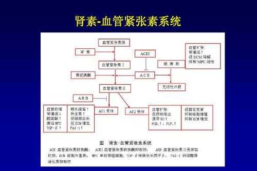 研究过程简介（研究过程简介怎么写）-图3