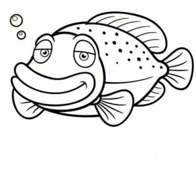 鱼的简笔画过程（鱼的简笔画简笔画）-图1