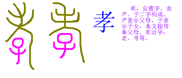 汉字孝的变化过程（孝的字形演变）-图3