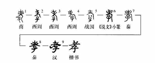 汉字孝的变化过程（孝的字形演变）-图2