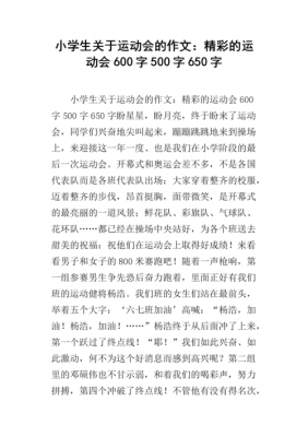 运动会过程简述（运动会过程简述作文）-图3