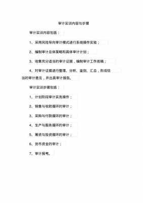 审计实训过程模板（审计实训内容及过程）-图1