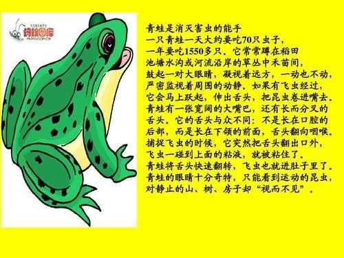 青蛙的教学过程的简单介绍-图2