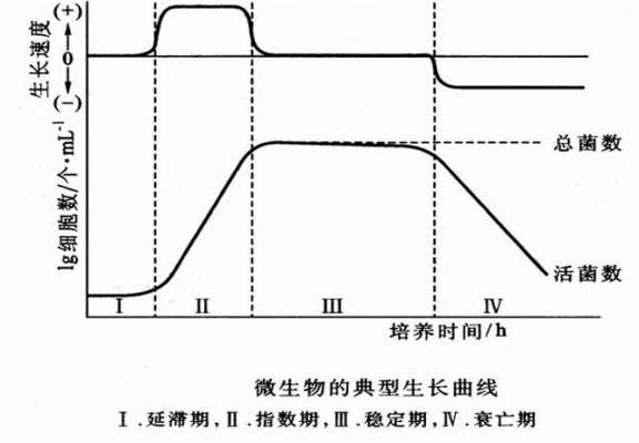 发酵过程的延滞期（发酵过程的延滞期是什么）-图3