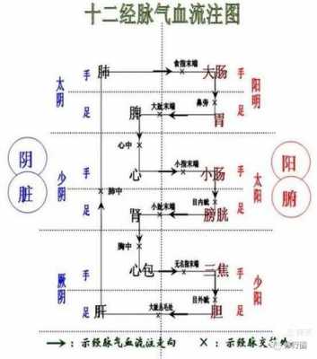 人体升降循环过程（人体升降出问题）-图3