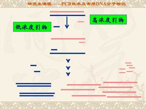 dna复制过程引物（dna复制过程引物是什么）-图3