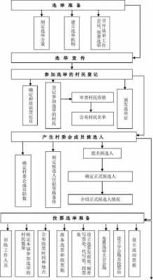 整个选举过程公开（选举的一般程序）-图2