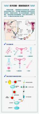 人工授精移植的过程（人工授精和胚胎移植技术）-图2