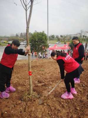 植树植树的过程图片（植树树图片大全）-图2