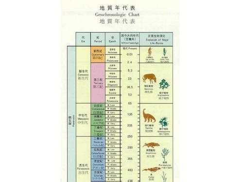 地球生物演化过程（地球生物演化史图表高清图）-图1