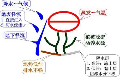 湿地的形成过程（湿地的形成过程简述）-图1