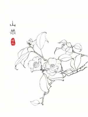 山茶花过程画（山茶花的画法）-图1