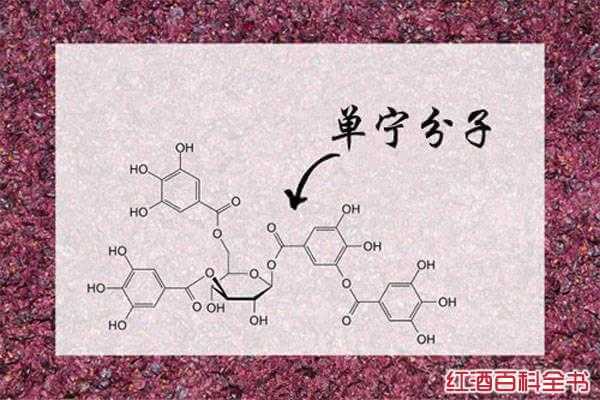 4005的算式过程（400除以5的计算过程）-图2