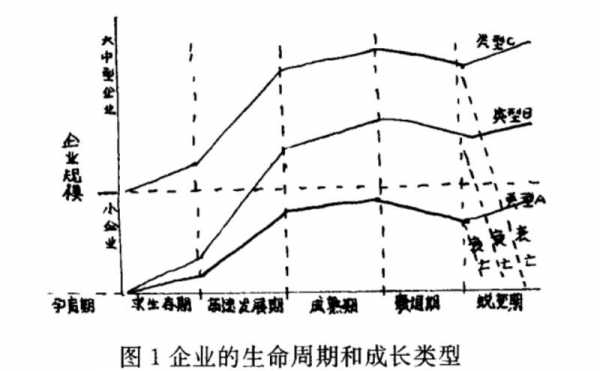 机体死亡过程（机体死亡期）-图3