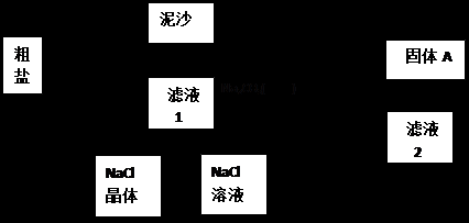 制粗盐过程（粗食盐的制备）-图2